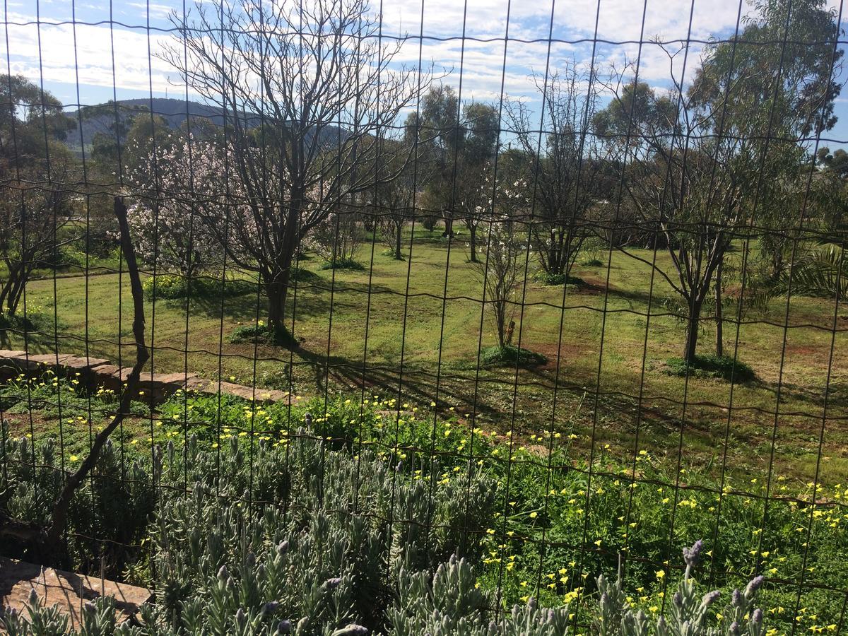 York'S Lookout Lodge Bed And Breakfast Luaran gambar